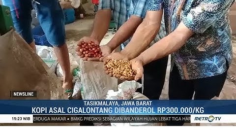 Kopi Premium Cigalontang Bisa Tembus Pasar Dunia