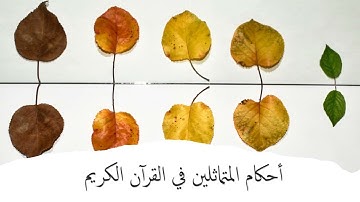 شرح مقرر التجويد الصف الحادي عشر الفصل الثاني