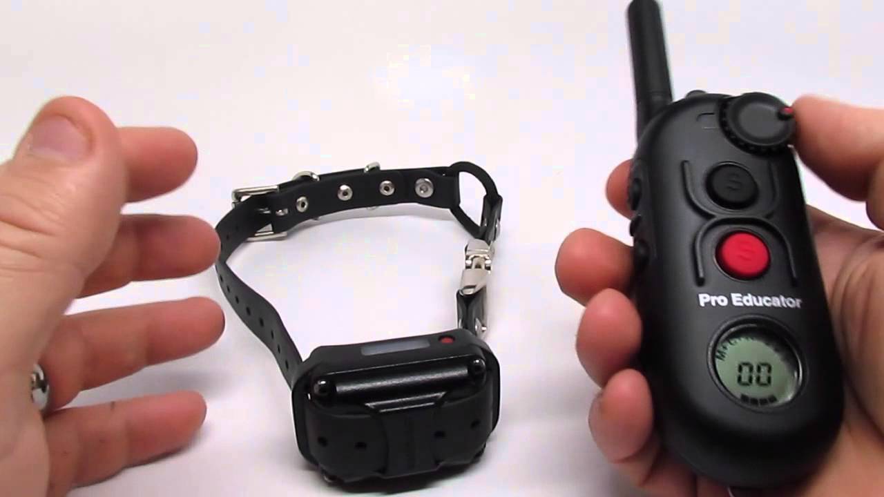 ECollar Technologies Pro Educator PE900 YouTube