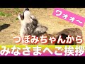 蕾ちゃんたくさんの愛に応えてくれています【ご報告】命の証の雄叫びワオーン❤️