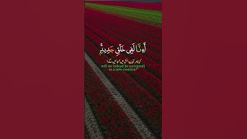 الدال على الخير كفاعله انشرو القرآن الكريم شارك ولك الأجر