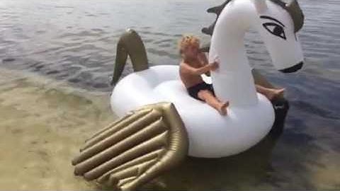 DalosDream Giant Inflatable Pegasus Pool Float (White)