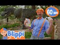 Blippi Learns About Dinosaurs At The Natural History Museum | Fun and Educational Videos for Kids