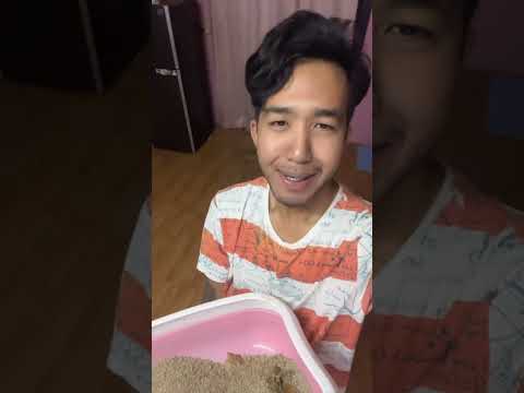 เองช่วยพี่กันด้วยนะ