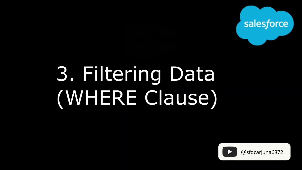 SOQL Tutorial #3   Filtering Data WHERE Clause
