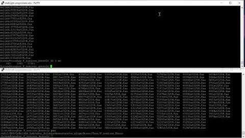 Evolutionary analysis using a Phylogenetic tree made with BUSCO genes: Video 3
