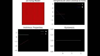 2D Ising Model (100x100)