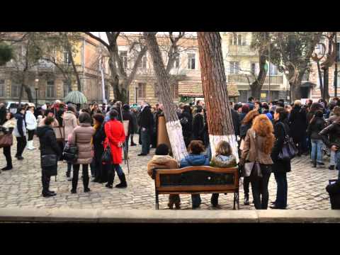 აქცია გუდიაშვილის ბაღში 24/12/2011