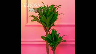 Sadosaur - Saturday 1 / Saturday 2