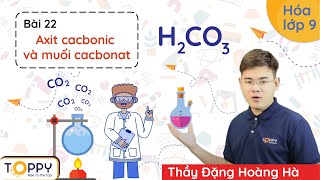 Axit cacbonic và muối cacbonat - Hóa lớp 9 | Bài 22 | Học online cùng TOPPY screenshot 1