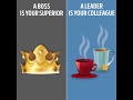 BOSS Vs LEADER Bright Side 