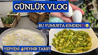 NASIL OLDUM⁉️SÜRPRİZ YUMURTA 😁 SAKSI DEĞİŞİMİ SON DURUM 👌YAĞMURDA SU ALMAYA GİTTİK✔️GÜNLÜK VLOG