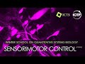 Computational Principles of Sensorimotor Control (Lecture 1) by Daniel Wolpert
