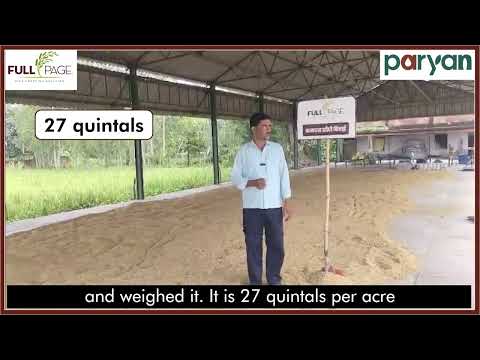 फुलपेज धान- अब सीधी बुवाई आसान! | फुलपेज धान, उत्तर प्रदेश के किसान की सफलता कहानी