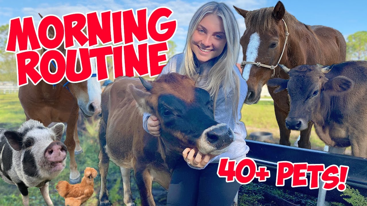 My Winter Morning Routine WITH THE NEW BARN 2020! 40+ Pets! | *SUPER ...