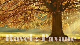 [ 구독자님 신청곡 / 2h Repeat ] 라벨(Ravel) _ 죽은 왕녀를 위한 파반느 (Pavane pour une infante défunte)