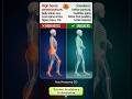 High Heels VS Sneakers | What Happens Inside Your Body #facts #health #food #gym
