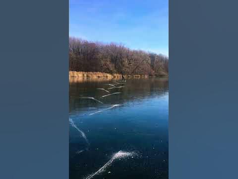 #коньки - YouTube
