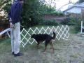 Introducing a Dog to Ring Gates: a desensitization & conditioning process using clicker training Introducing a Dog to Ring Gates: a desensitization & conditioning process using clicker training