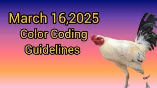 March 16,2025 Color Coding Guidelines.