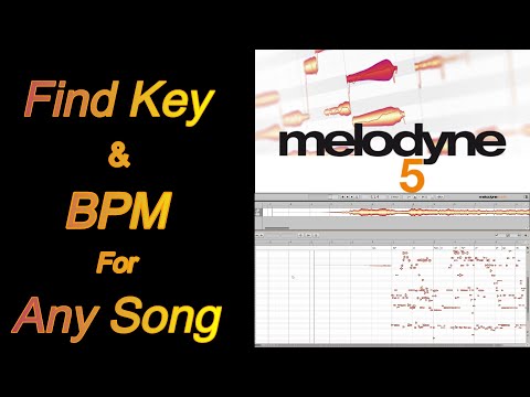 How To Find The Key And Bpm For Any Song Using Melodyne #musicproducer #musicproduction #cubase