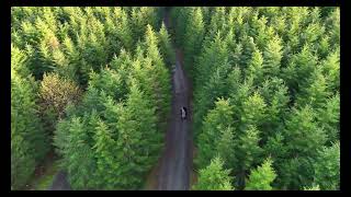 Oregon Forest, DJI Mini 4 Pro