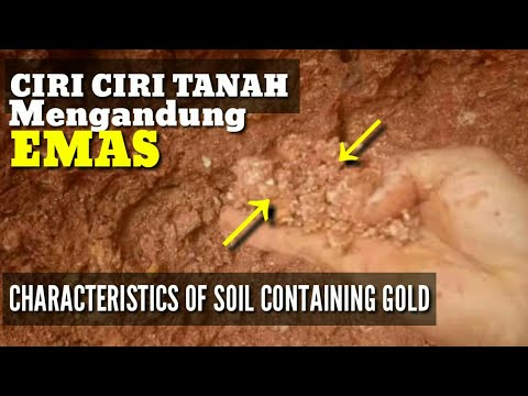 YOU MUST KNOW ,, !!! CHARACTERISTICS OF LAND CONTAINING A LOT OF GOLD. DIY Gold Nugget INDONESIA