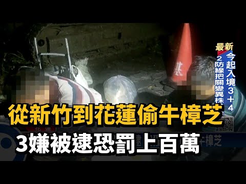 從新竹到花蓮偷牛樟芝 3嫌被逮恐罰上百萬－民視台語新聞