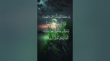 سورة الفرقان الآية (٤١-٤٢-٤٣)