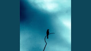 Som Relaxante Para Terapia