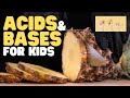 Acids and Bases Concepts