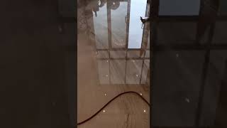 VID 20240213 WA0002