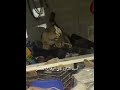 أسد هارب فس البقاع و تم قتله أسد هارب فس البقاع و تم قتله