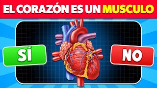 ¿Cuánto Sabes del CUERPO HUMANO? 🧠🫁👁️ | Test de Anatomía🫀