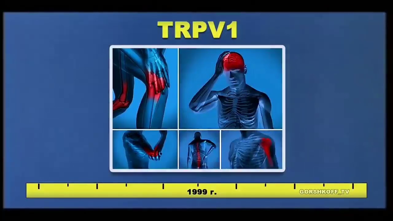 История канабиноидов. Часть 2