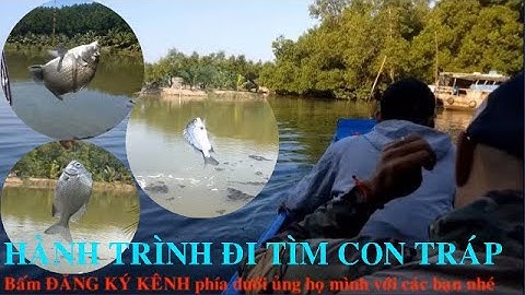 Lặn lội vào tận rừng sâu Cần Giờ câu cá Tráp || Thiên Nhiên Muôn Loài