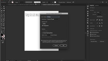 Document Raster Effects Settings