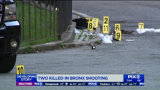 17-year-old boy among two killed in Bronx shooting: police