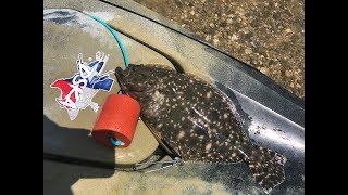 So many Flounder! Kayak Fishing in Texas Gulf Coast!