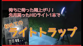 【クワガタ採集】先月買ったHIDライトで初ライトトラップに挑戦