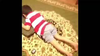 Bikin Ngakak Guling-Guling | Random Para Tolol | Random Para Tolol Lucu