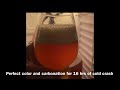PRESSURE FERMENTATION Double IPA 10,3% in 7 days, served directly from fermzilla