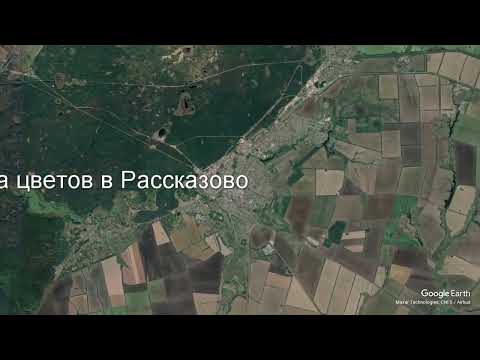 Доставка цветов в Рассказово - Заказ букетов от компании Скорая подарочная помощь
