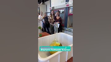 Explosive Elephant’s Toothpaste Experiment! Chemistry in Action!