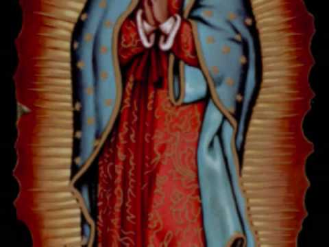 Mi Rosa De Guadalupe