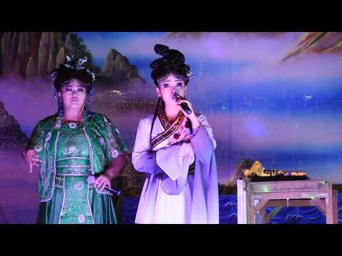 藝華園戲劇團（明華園)-賣某做大舅(4)