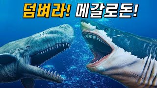 리비아탄vs메갈로돈｜최강의 이빨고래 리비아탄은 메갈로돈을 이길 수 있었을까?