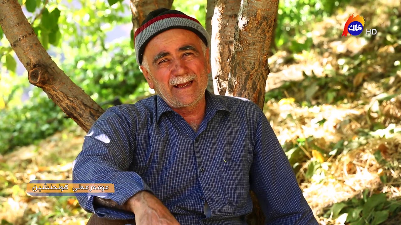 دیكۆمێنتاری-هەڵپاچین -دێڵزێ