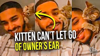 Kitten Can’t Let Go of Owner’s Ear as It Stands on His Shoulder