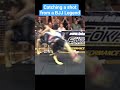 Catching a shot from a BJJ Legend